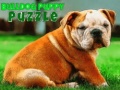 Logħba Puzzel tal-Kelb Bulldog onlajn