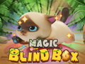 Logħba Kaxxa Magic Blind onlajn