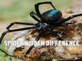 Logħba Spider: Ikkontra l-differenzi onlajn