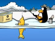 Logħba Club Penguin: Ittajdu fuq Il-Ghea onlajn Logħba Club Penguin: Ittajdu fuq Il-Ghea onlajn
