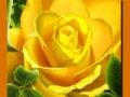 Logħba Roses Isfarijiet onlajn Logħba Roses Isfarijiet onlajn