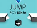 Logħba Ninja Box Jump onlajn