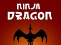 Logħba Ninja Dragon onlajn