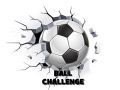 Logħba Sfida tal-Ball onlajn