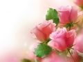 Logħba Roses Pink onlajn