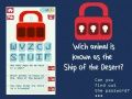 Logħba Qbid ta' Password onlajn