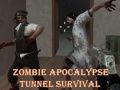 Logħba Zombie Apocalypse Mina Sopravivenza  onlajn