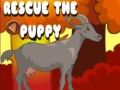 Logħba I救 il-puppy onlajn