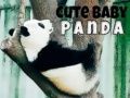 Logħba Panda Tat-tfal Ġuż onlajn