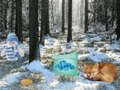 Logħba Avventura fil-Ħxejjex tal-Winter Wonderland onlajn