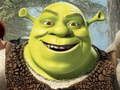 Logħba Kollezzjoni tal-Puzzle Shrek onlajn