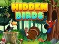 Logħba Birds moħbija onlajn