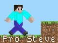 Logħba Pro Steve onlajn