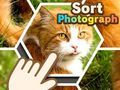 Logħba Sortja tal-Fotografiji onlajn