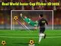 Logħba Kupa tad-Dinja tal-Futbol Reali Flicker 3D 2023 onlajn