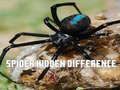 Logħba Spider: Ikkontra l-differenzi onlajn Logħba Spider: Ikkontra l-differenzi onlajn