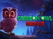 Logħba Salvazzjoni tal-owl krimson onlajn