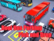 Logħba Parkgħa Reali tal-Bus: Iġbor u Ħalli onlajn