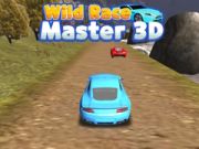 Logħba Master tar-Race Ħażin 3D onlajn