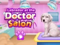 Logħba Labrador fil-klinka tal-veterinar onlajn Logħba Labrador fil-klinka tal-veterinar onlajn