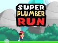 Logħba Super Plumber Run onlajn