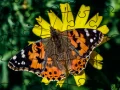 Logħba Puzzlek: Spring onlajn Logħba Puzzlek: Spring onlajn