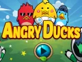 Logħba Ducks Arew onlajn