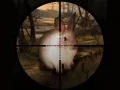 Logħba Kaċċa Klassika ta 'Rabbits Sniper 2019 onlajn Logħba Kaċċa Klassika ta 'Rabbits Sniper 2019 onlajn
