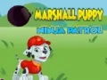 Logħba Patrulja Ninja ta' Marshall Puppy onlajn Logħba Patrulja Ninja ta' Marshall Puppy onlajn