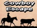 Logħba Tfitt wieħed Cowboy onlajn