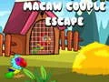 Logħba Fuga tal-Paar Macaw onlajn
