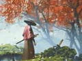 Logħba Riflessjoni Samurai onlajn Logħba Riflessjoni Samurai onlajn
