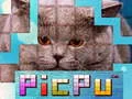 Logħba PicPu Qatt onlajn Logħba PicPu Qatt onlajn