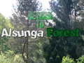 Logħba Ritorna fil-Foresta ta' Alsunga onlajn
