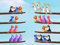 Logħba Bird Sort Puzzle  onlajn