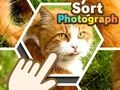 Logħba Sortja tal-Fotografiji onlajn