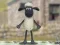 Logħba Shaun it-Triq: Jumper Woolly! onlajn