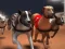 Logħba Razzett tal-Greyhound onlajn