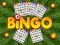 Logħba Bingo onlajn