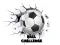 Logħba Sfida tal-Ball onlajn