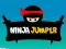 Logħba Ninja Mgħaġġel onlajn