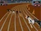 Logħba Crazyl Dog Racing Fever  onlajn