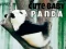 Logħba Panda Tat-tfal Ġuż onlajn