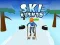 Logħba Ski Rush 3D onlajn