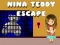 Logħba Nina Teddy Tħarġin onlajn