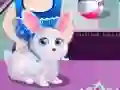 Logħba Festa tal-Pets ta' Baby Hazel onlajn