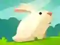 Logħba Furry Hawn onlajn