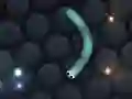 Logħba Slither.io onlajn Logħba Slither.io onlajn