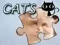 Logħba Puzzle: Kattijiet onlajn Logħba Puzzle: Kattijiet onlajn