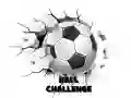 Logħba Sfida tal-Ball onlajn